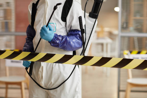 Professional Sewage Cleanup technician working in Pacific, WA
